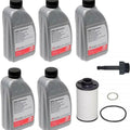 DSG Oil and Filter Kit for a Wet Clutch Box in OE Supplier