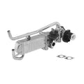 EGR Valve and Cooler Overhaul Package in OE Supplier