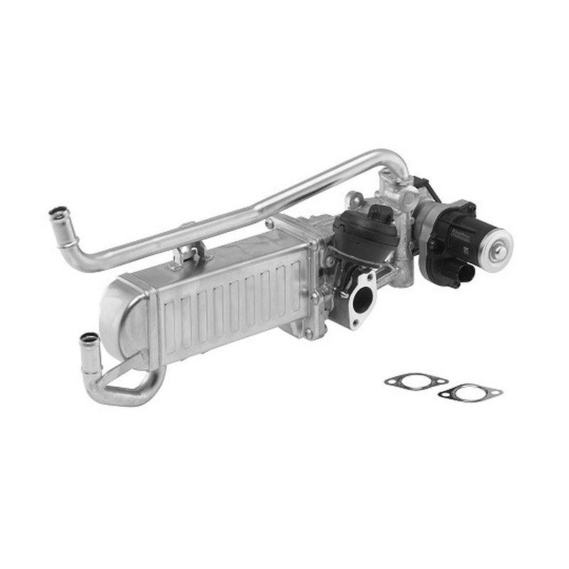 EGR Valve and Cooler Overhaul Package in OE Supplier