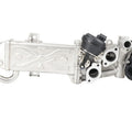 EGR Valve in OE Supplier