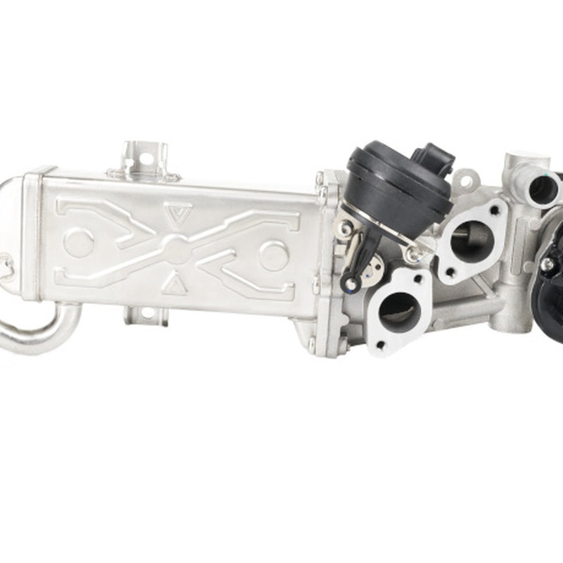 EGR Valve in OE Supplier