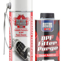 Particulate Filter Package with a Cleaning Service in Genuine Boxed